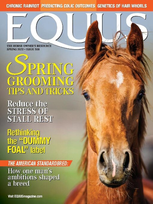 Title details for Equus by Equine Network - Available